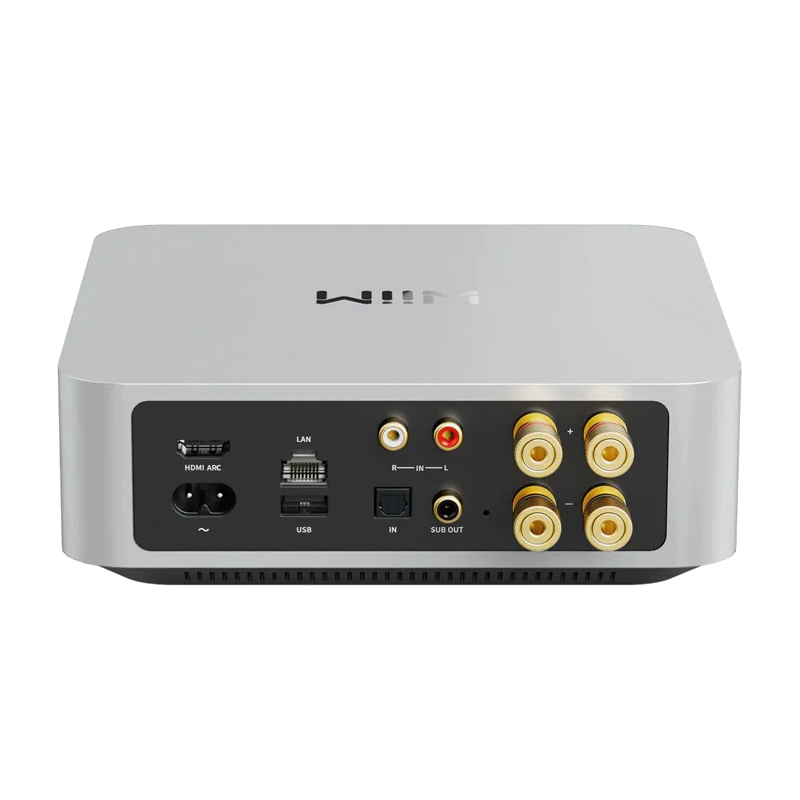 Wiim Amp Image 03