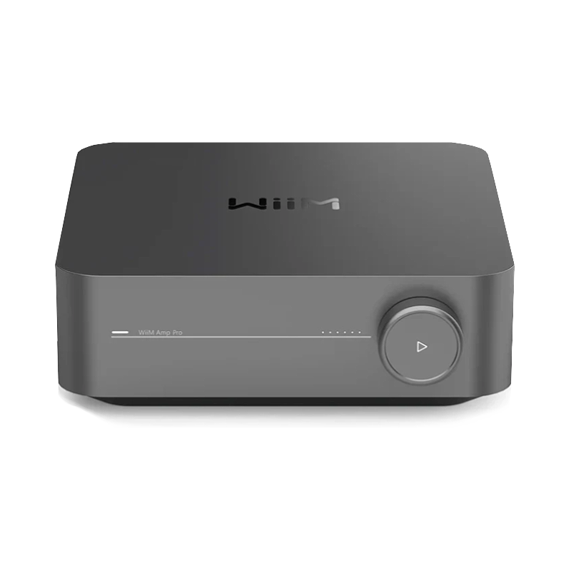 Wiim Amp Pro Image 02