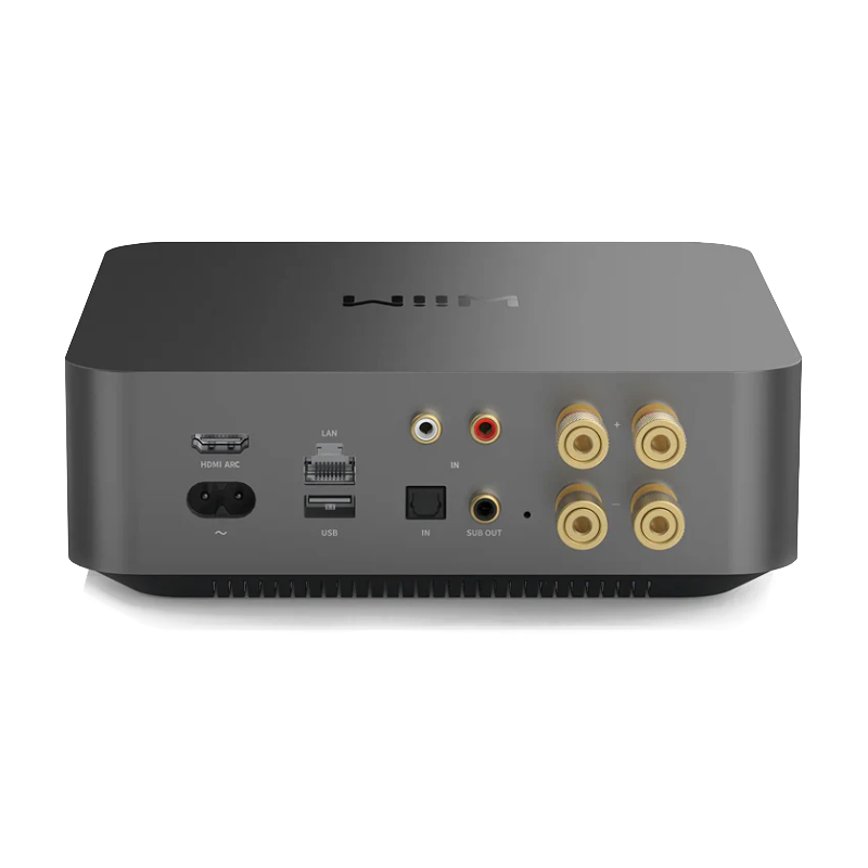 Wiim Amp Pro Image 03