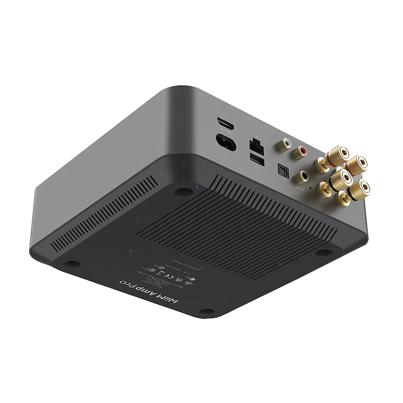 Wiim Amp Pro Image 04